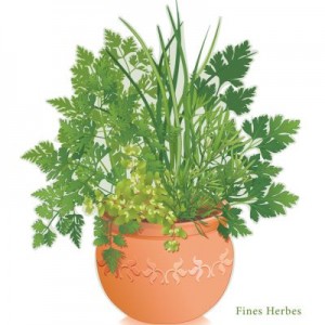 Home Remedies with Herbs